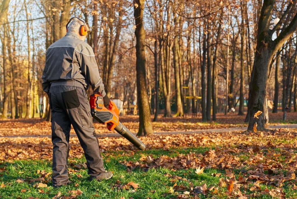 a person is using leaf blower to clean his garden