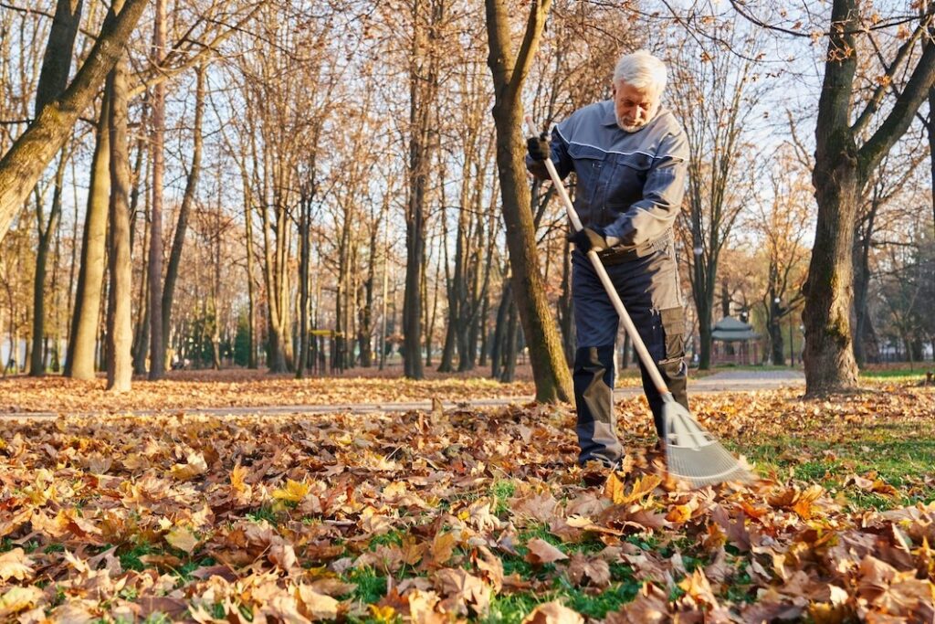 a person is removing leaves from his yard