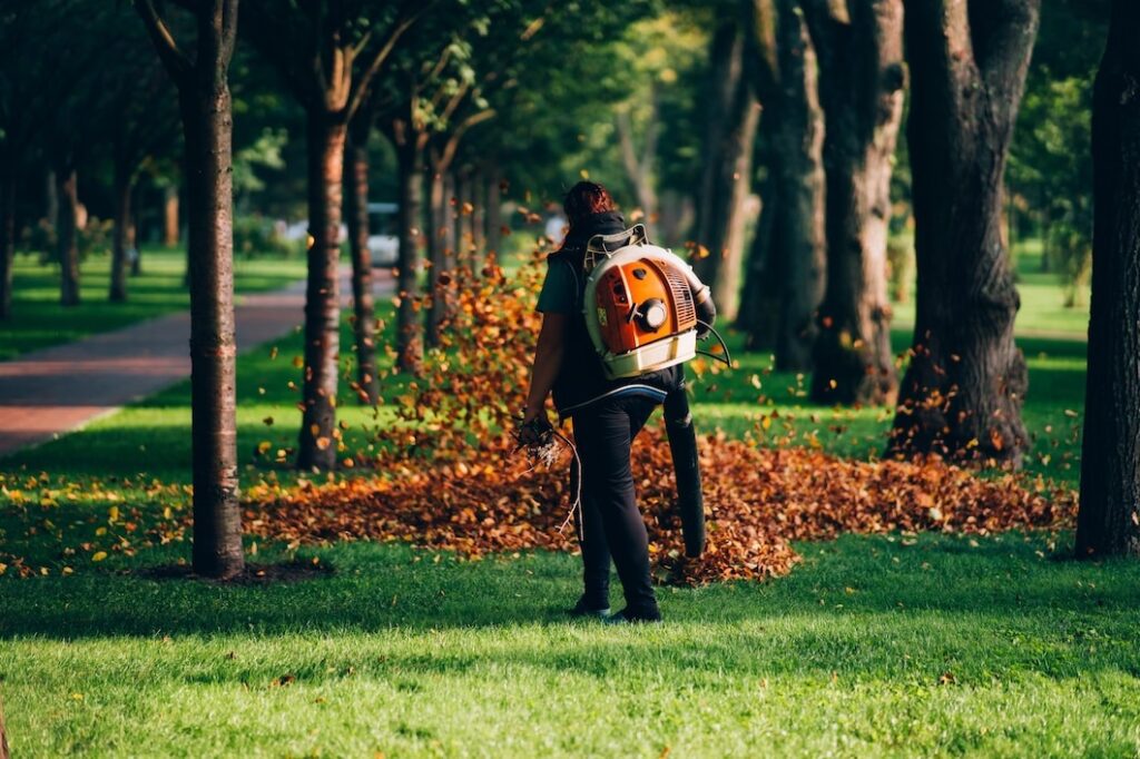 a person is providing a leaf removal service